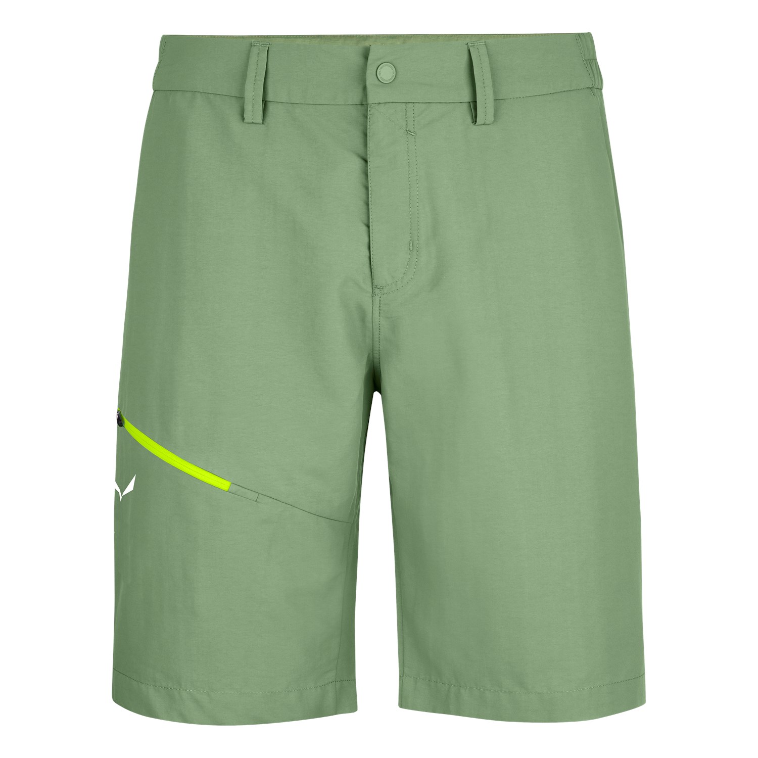 Pantalones Cortos Salewa Iseo Dry Hombre Verdes Mexico (EB2759410)